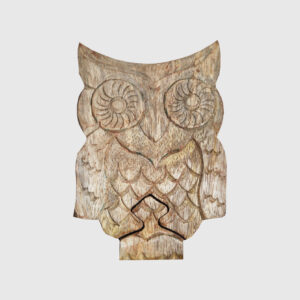 Raw Owl Puzzle Box
